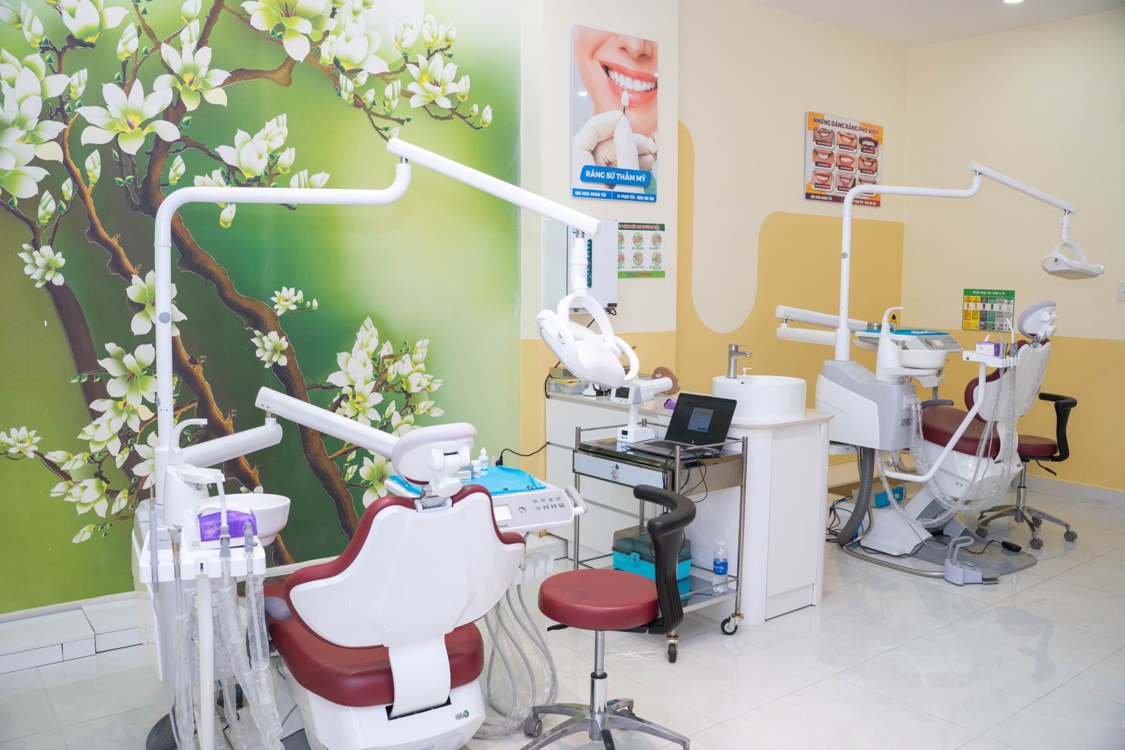 Giới thiệu chung về Nha Khoa Hoàng Yến